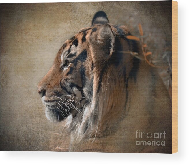 Tiger Wood Print featuring the photograph Burning Bright by Betty LaRue