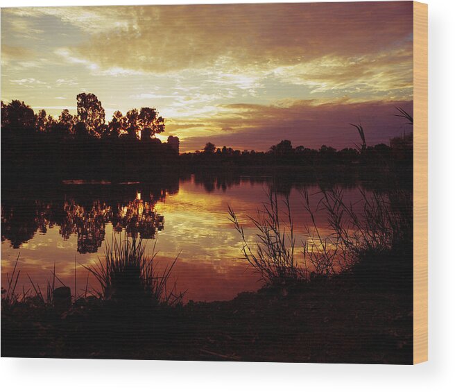 Sunset Wood Print featuring the photograph Burning skies by Meir Ezrachi