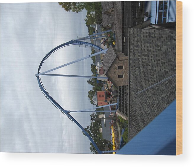 Busch Wood Print featuring the photograph Busch Gardens - 121212 by DC Photographer