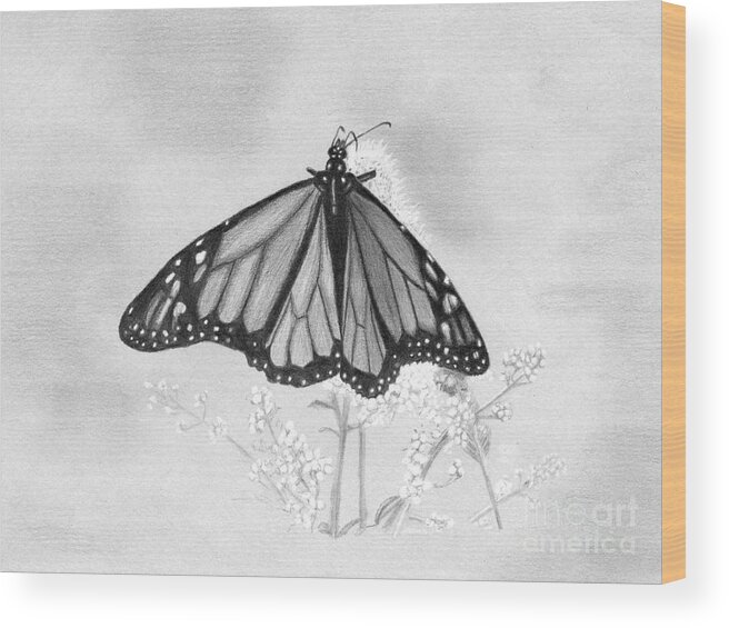 Denise Wood Print featuring the drawing Butterfly by Denise Deiloh