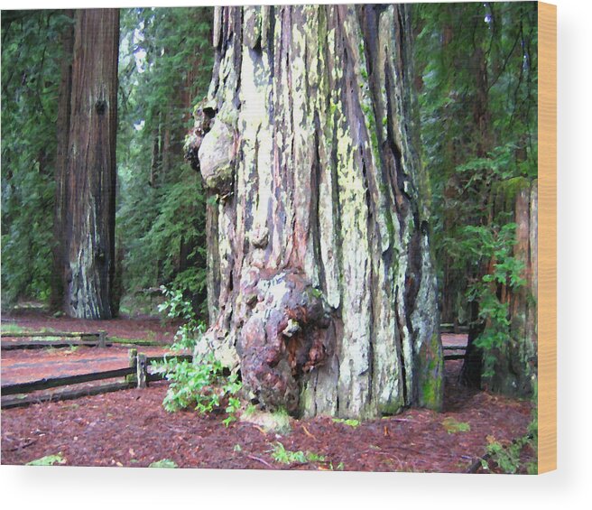 California Redwoods 4 Wood Print featuring the digital art California Redwoods 4 by Will Borden
