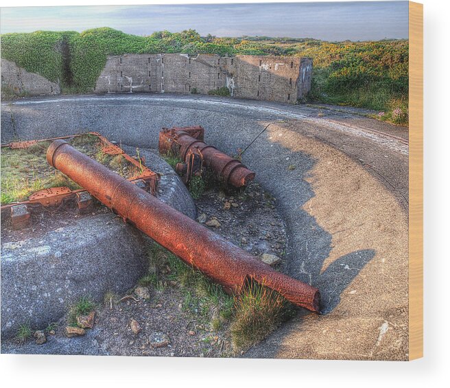 Cannon Wood Print featuring the photograph Cannon Remains From WW2 by Gill Billington