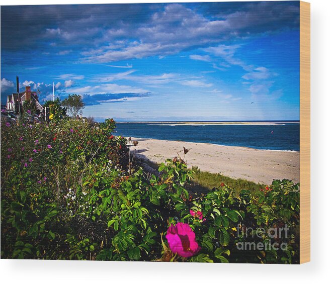 Beach Wood Print featuring the photograph Cape Cod beach by Charlene Gauld