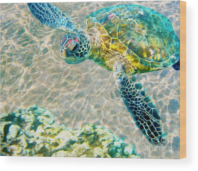 Caribbean Sea Turtle Wood Print featuring the mixed media Beautiful Sea Turtle by Jon Neidert