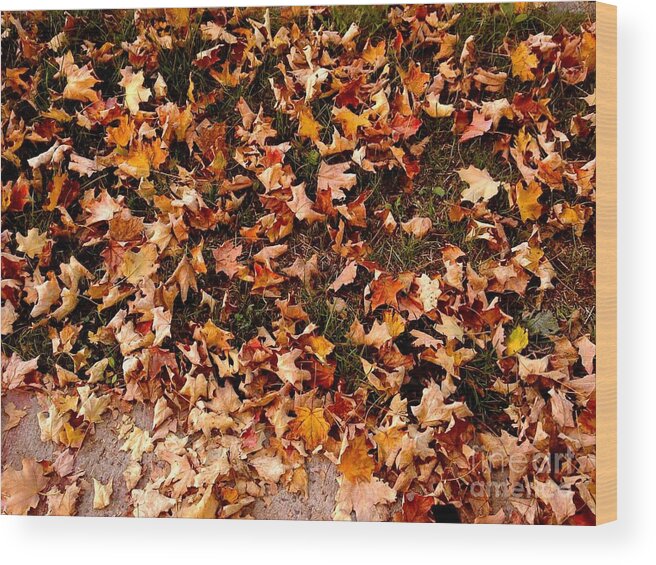 Autumn Wood Print featuring the photograph Carpet of Autumn Leaves by Miriam Danar