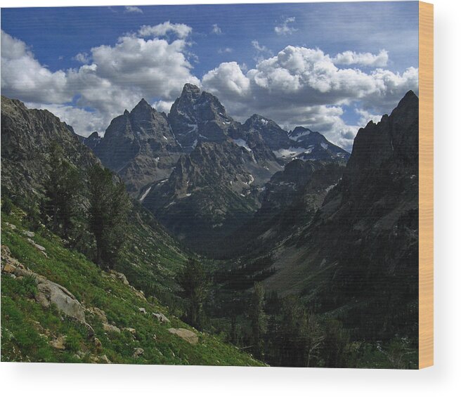 Grand Teton Wood Print featuring the photograph Cascade Canyon North Fork by Raymond Salani III