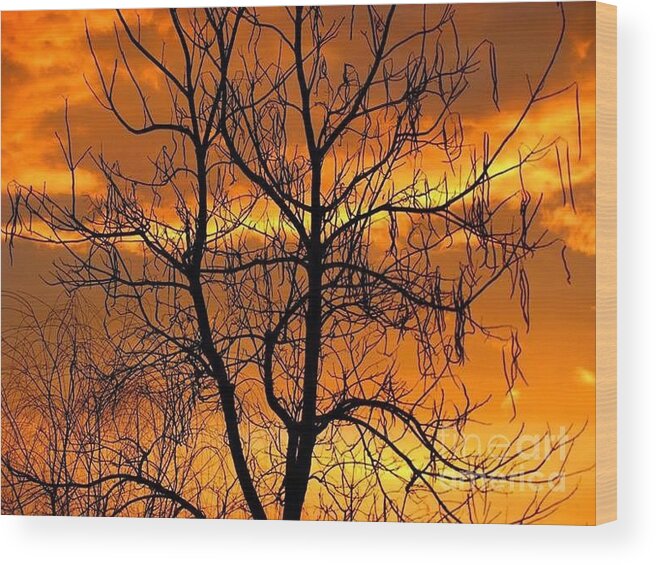 Tree Wood Print featuring the photograph Catalpa Orange by Fred Sheridan