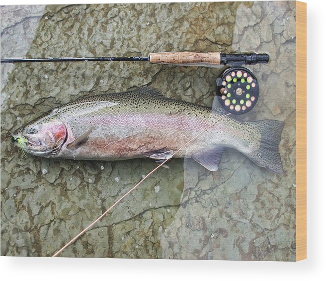 Steelhead Wood Print featuring the photograph Catch and Release by David Armstrong