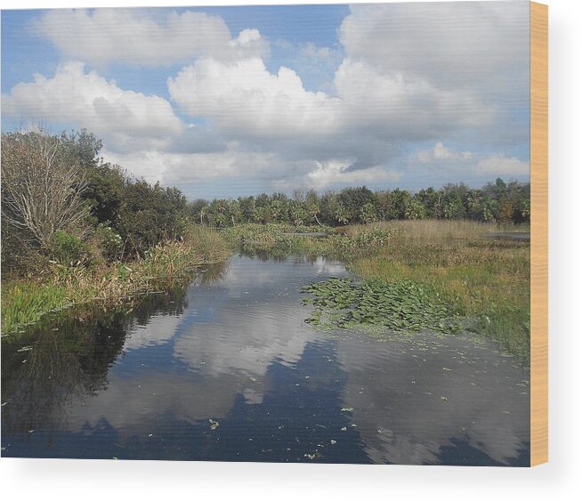 Nature Wood Print featuring the photograph Catch My Breath by Sheila Silverstein