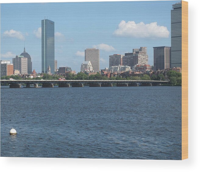 Boston Wood Print featuring the photograph Charles River Summer by Barbara McDevitt