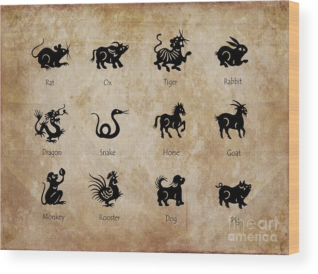 Chinese Wood Print featuring the digital art Animals of the Chinese zodiac by Delphimages Photo Creations