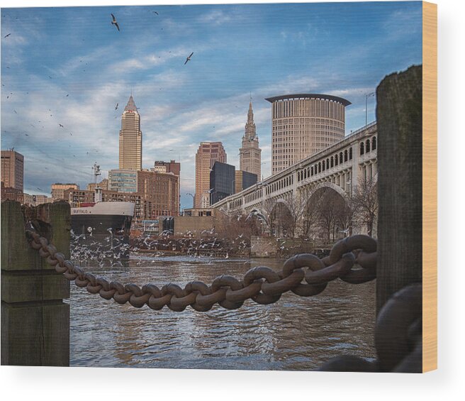 Cleveland Wood Print featuring the photograph Cleveland Is for the Birds by Jared Perry 