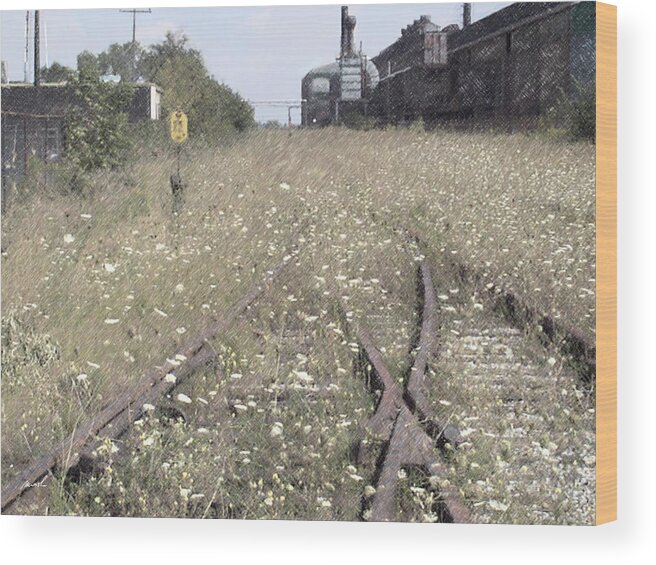 cn Railroad Wood Print featuring the photograph CN Railroad 1 by The Art of Marsha Charlebois