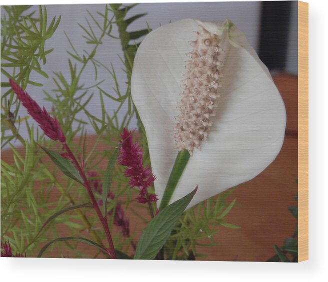 Cobra Flower Mixed With Asparagas Fern And Celosia. Wood Print featuring the photograph Cobra Glory by Belinda Lee