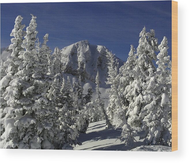 Cody Peak Wood Print featuring the photograph Cody Peak After a Snow by Raymond Salani III