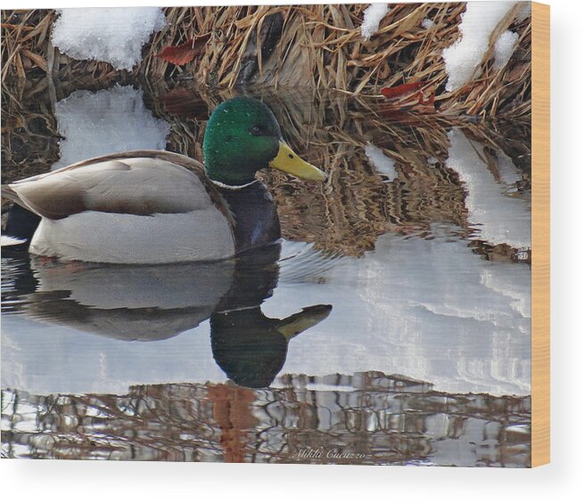 Winter Wood Print featuring the photograph Cold Duck by Mikki Cucuzzo
