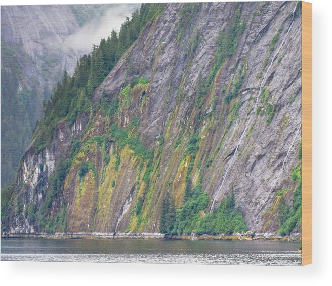 Landscape Wood Print featuring the photograph Colors of Alaska - Misty Fjords by Natalie Rotman Cote