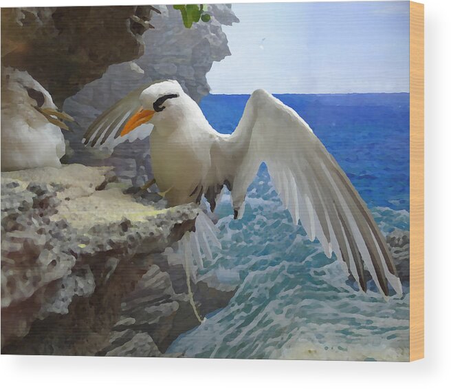 Bermuda Wood Print featuring the photograph Coming Home by Richard Reeve