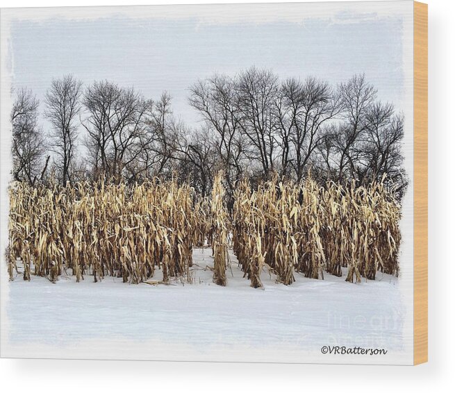 Snow Wood Print featuring the photograph Cornstalks in Snow by Veronica Batterson
