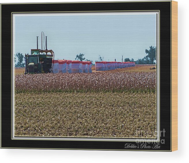 Nature Wood Print featuring the photograph Cotton Harvest by Debbie Portwood
