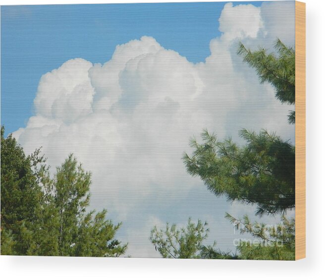 Cottonballs In The Sky Wood Print featuring the photograph Cottonballs In the Sky by Emmy Vickers