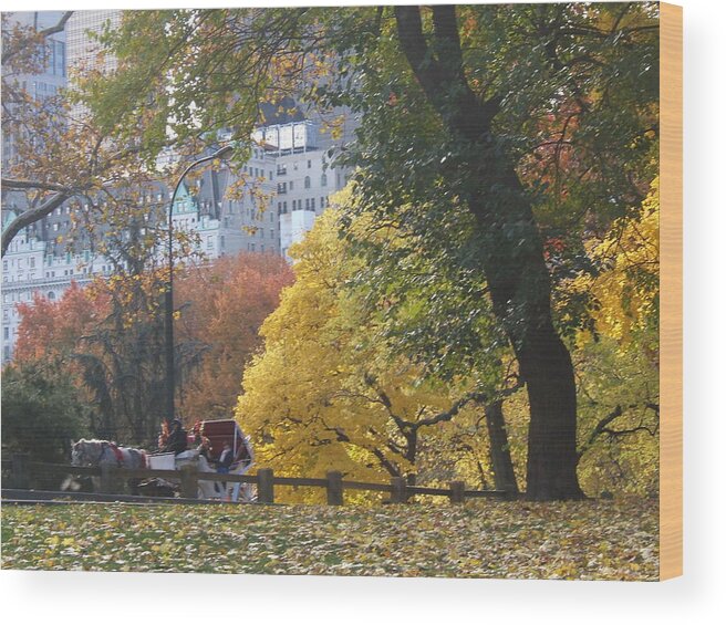 central Park Wood Print featuring the photograph Country Ride in the City by Barbara McDevitt