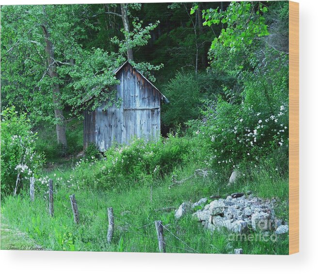 Shed Wood Print featuring the photograph Country Shed and Flowers by Teena Bowers