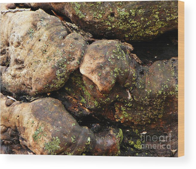 Tree Wood Print featuring the photograph Crotchety Old Moss Covered Tree Man by Chris Sotiriadis