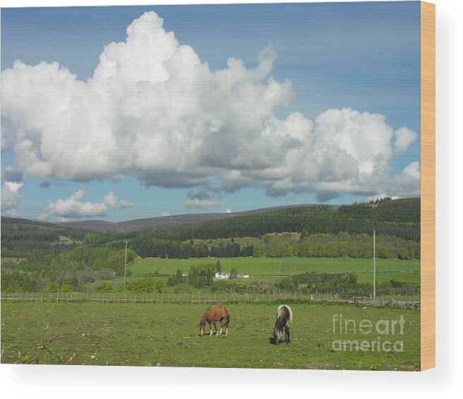 Cumulus Wood Print featuring the photograph Cumulus Clouds in June by Phil Banks