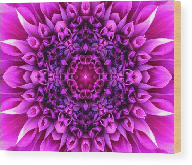 Mandalas Wood Print featuring the digital art Dahlia Pink Star Mandala by Diane Lynn Hix