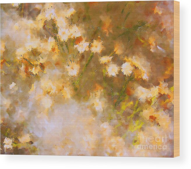 Daisy Wood Print featuring the photograph Daisy a Day 21 by Julie Lueders 