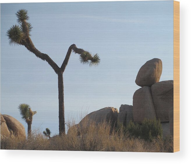 Jumbo Rocks Wood Print featuring the photograph Dancing Joshua Tree 1 by Randall Weidner