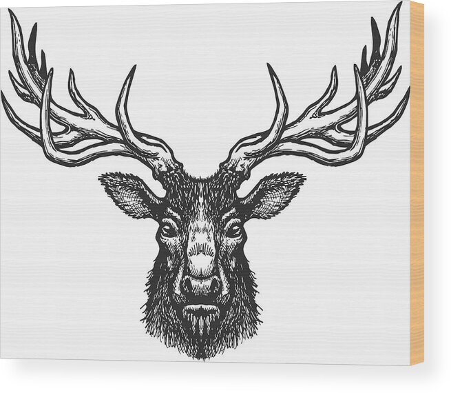 Pets Wood Print featuring the drawing Deer head by DimaChe