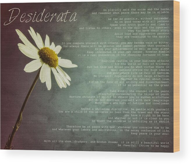 Desiderata Wood Print featuring the photograph Desiderata with Daisy by Marianna Mills