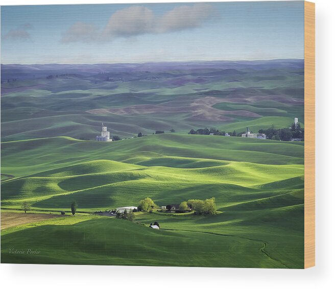 2014 Wood Print featuring the photograph Distant Vista from Steptoe Butte by Victoria Porter