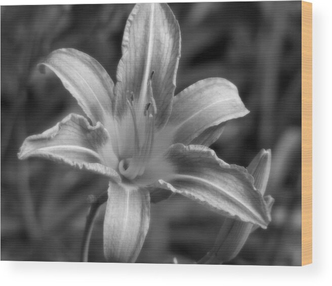 Floral Wood Print featuring the photograph Dream of Lily by Lisa Blake
