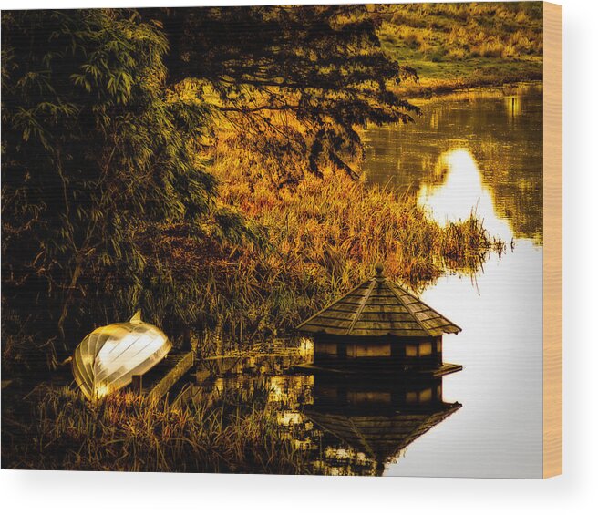 Antique Wood Print featuring the photograph Duck House by Mark Llewellyn