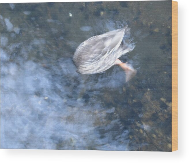 Duck Wood Print featuring the photograph There's something in the water 2 by Ingrid Van Amsterdam