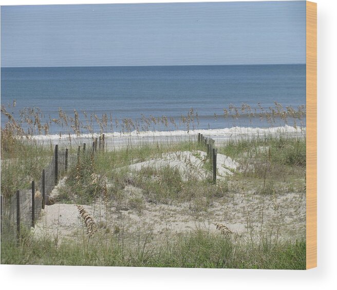 Landscape Wood Print featuring the photograph Dune Fences Oats Sea by Ellen Meakin