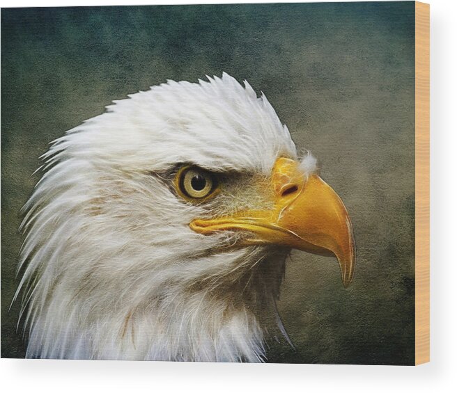 Bald Eagle Wood Print featuring the photograph Eagle Art by Steve McKinzie