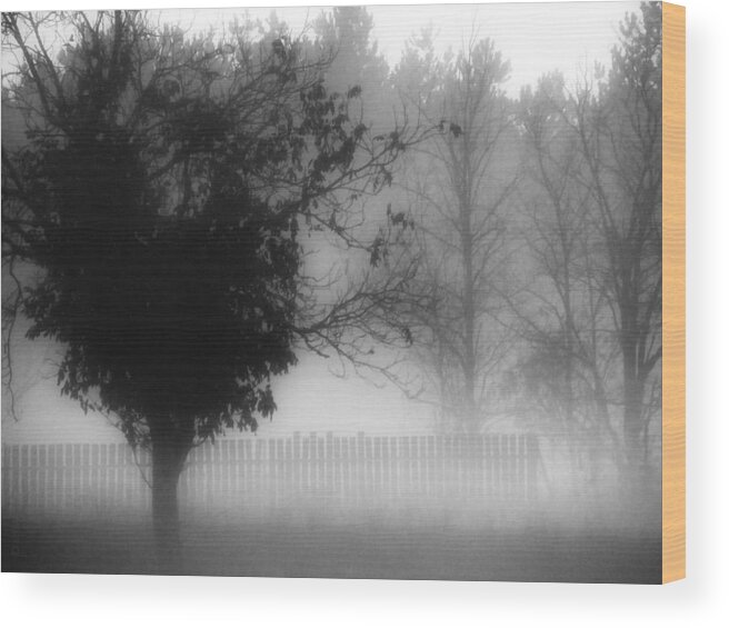 Mist Wood Print featuring the photograph Early Evening Mist by Mimulux Patricia No