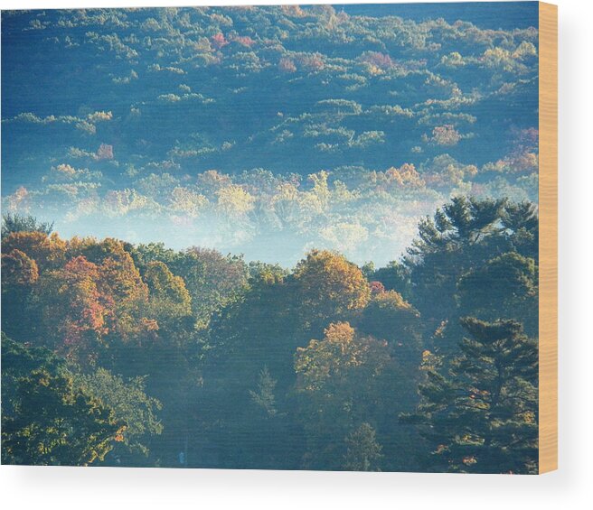 Scenic Wood Print featuring the photograph Early Morning by Steven Huszar