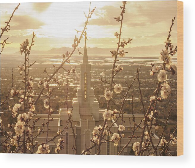 Bountiful Temple Wood Print featuring the photograph Earth Renewed by Emily Dickey