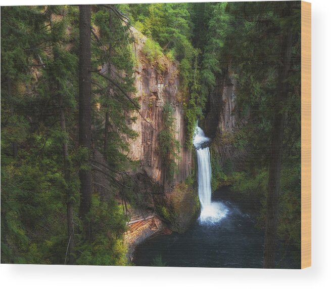 Water Falls Wood Print featuring the photograph Earthen Tears by James Heckt