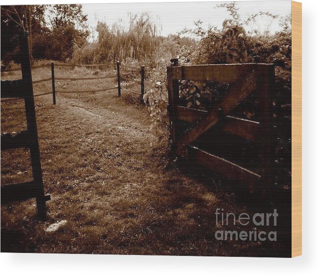 Garden Wood Print featuring the photograph Enchanted garden by Janine Riley