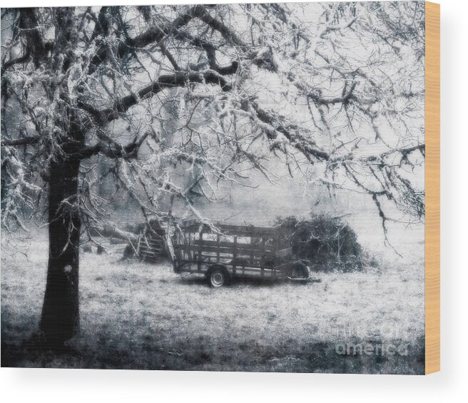 Landscape Wood Print featuring the photograph Enchanted Pasture by Rory Siegel