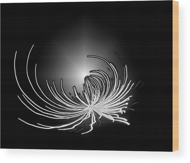 Black Wood Print featuring the photograph Encircling the Light by Ellen Tully
