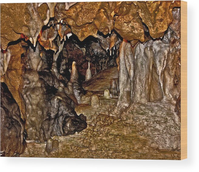 Cave Wood Print featuring the photograph Entrance. Florida Caverns. by Chris Kusik