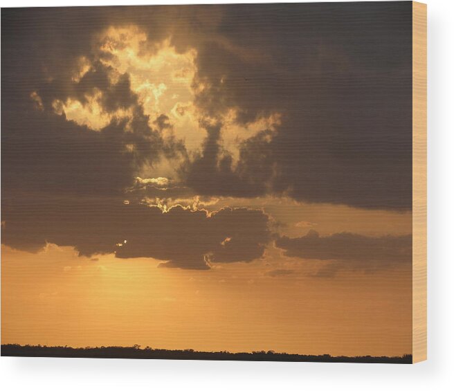 Nature Wood Print featuring the photograph Evening Over Lake George by Fortunate Findings Shirley Dickerson
