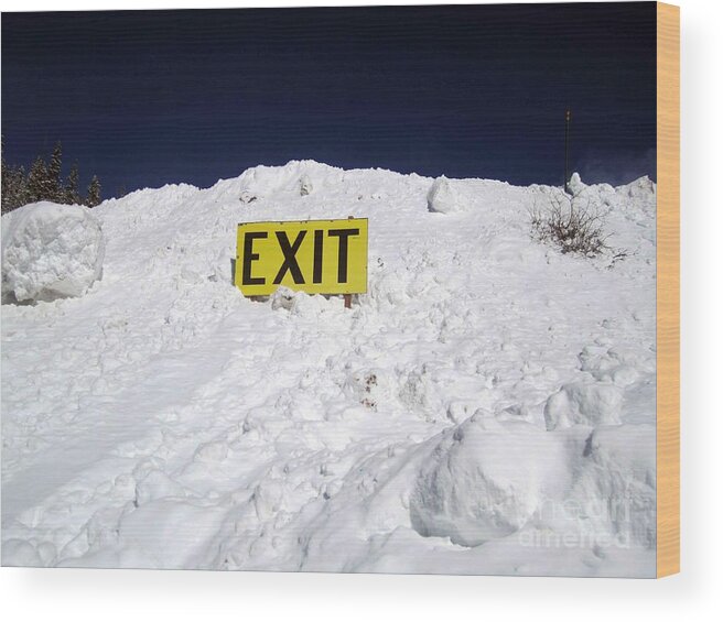 Snow Wood Print featuring the photograph Exit by Fiona Kennard